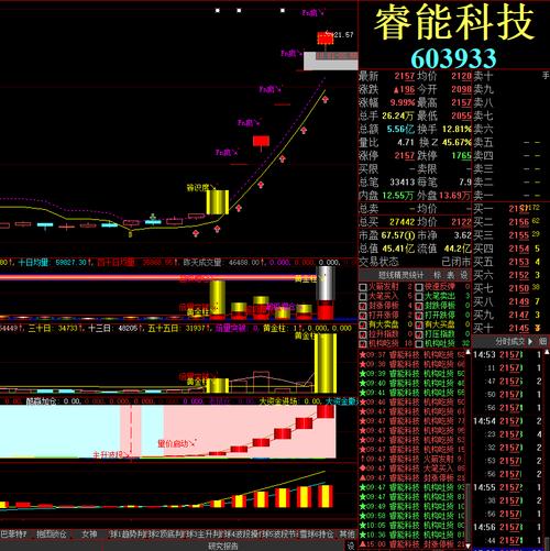 睿能科技行情分析与展望